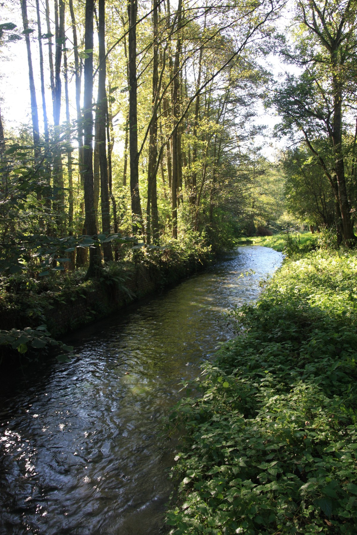 Guiel 2 | Conseil départemental de l'Orne