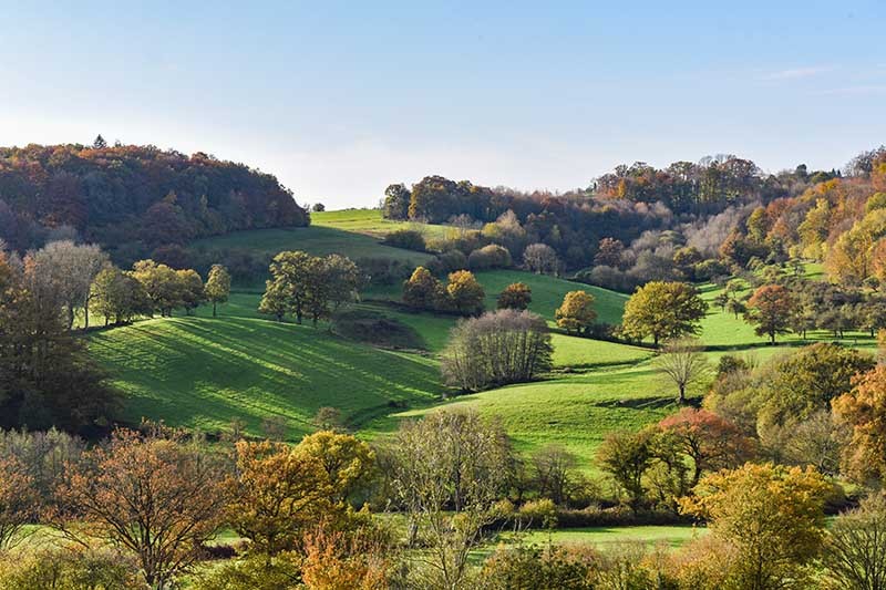 Sentier-des-meandres--bocage-beagillot--800- | Béa Gillot