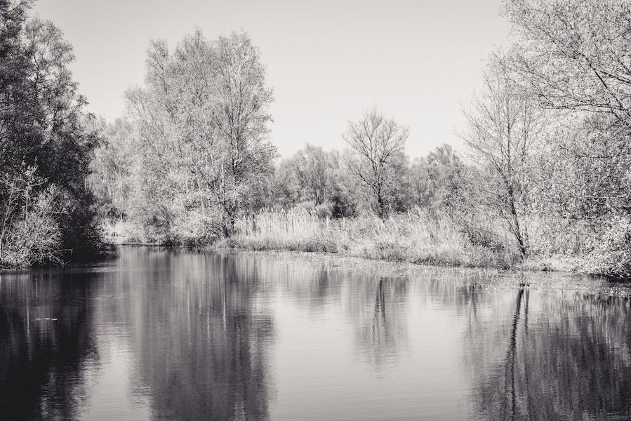 MGH-beagillot-66 | Béa Gillot