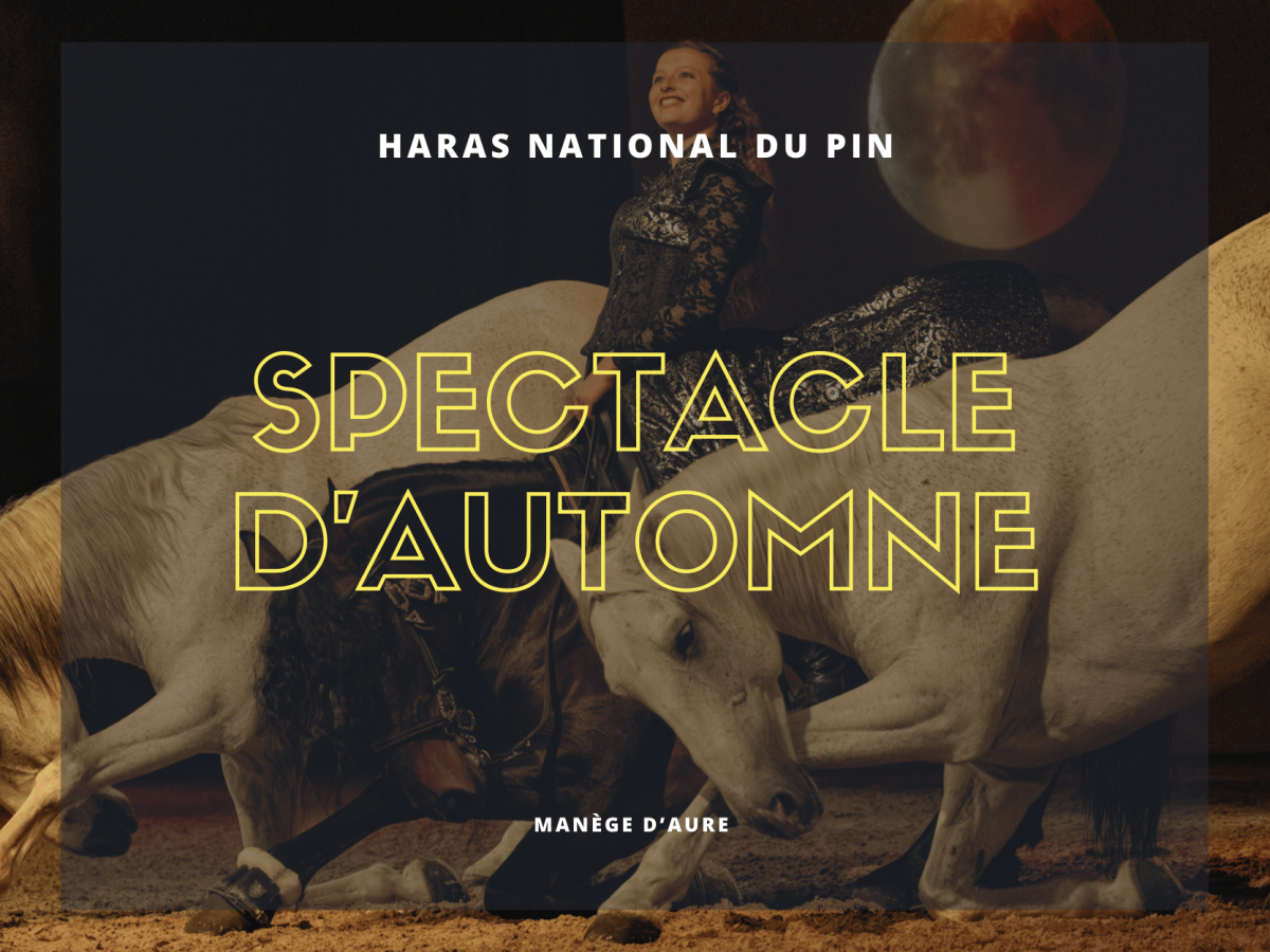 automne | Haras du Pin