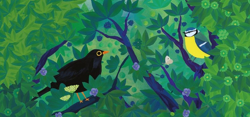 Exposition « Observons les oiseaux » | MDO