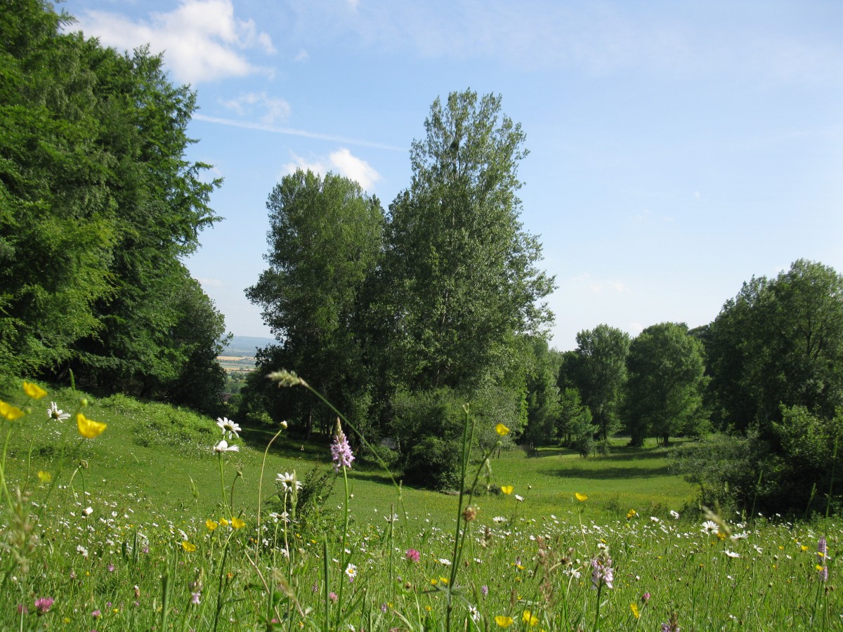 Vallon_Sainte Eugénie | Conseil départemental de l'Orne
