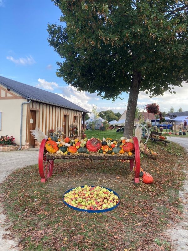 art_et_jardin_pommes | © Association Art et Jardin