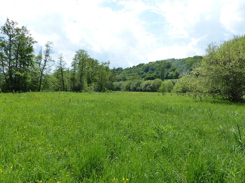 Les prairies de Campigny | © CD 61