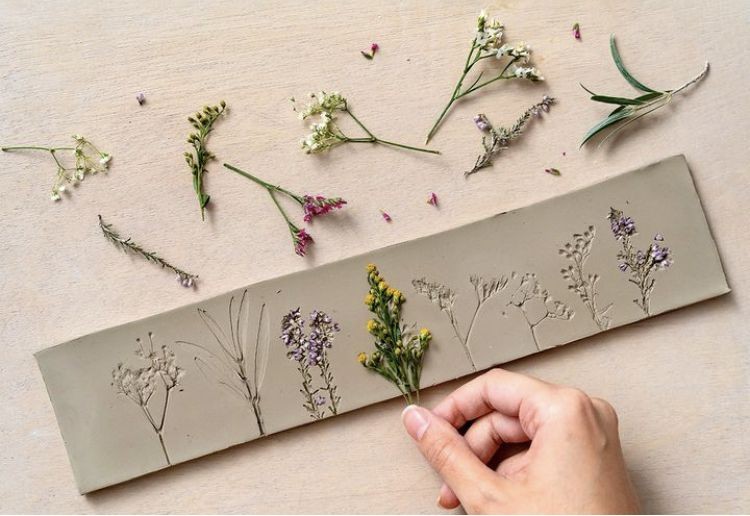 herbier_argile | bourrache et coquelicot 