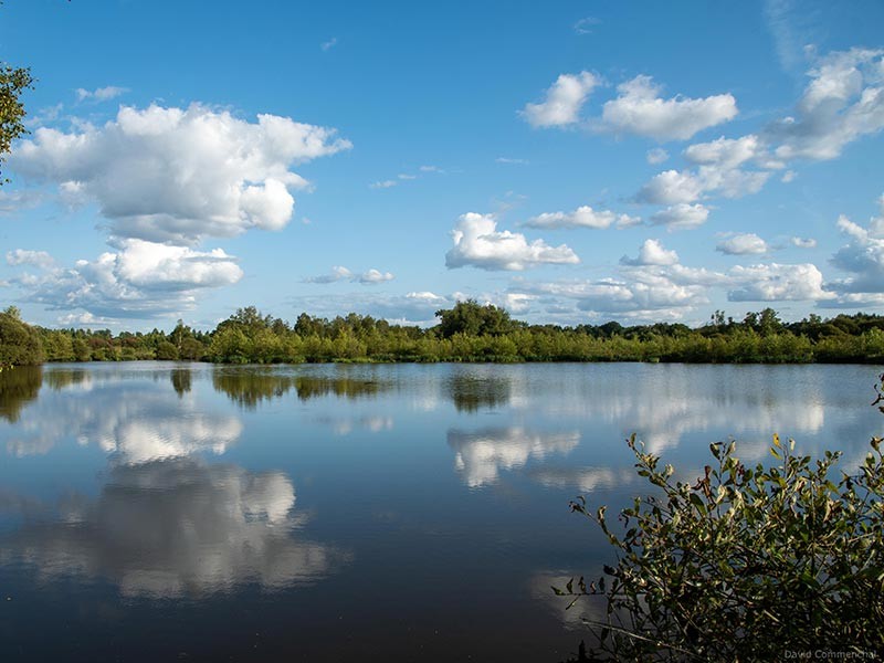Marais du Grand Hazé | © D. Commenchal