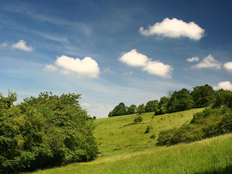 Le Coteau des Champs Genêts | Les Champs Genêts © JE Rubio