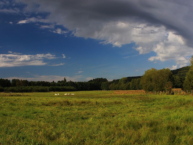 Vallée et marais de Bretoncelles dans l'Orne en Normandie | Vallée et marais de Bretoncelles © JE Rubio