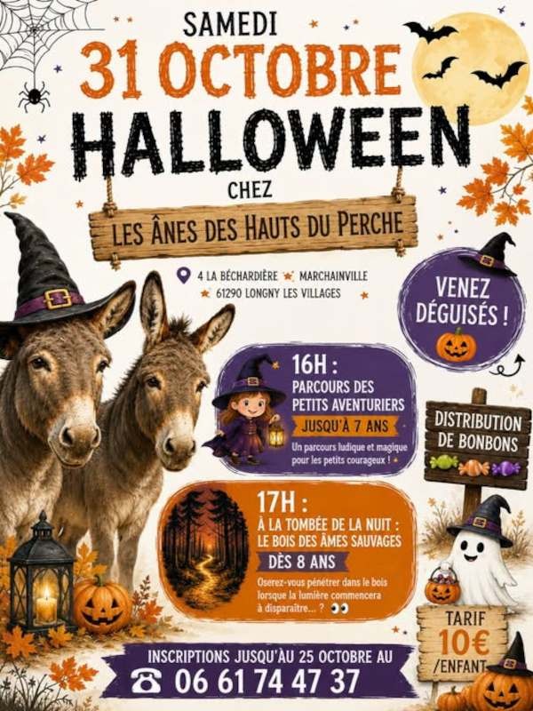 802811536_2061860358028438_3178416833449041665_n-compressed | ©Les Anes des Hauts du Perche