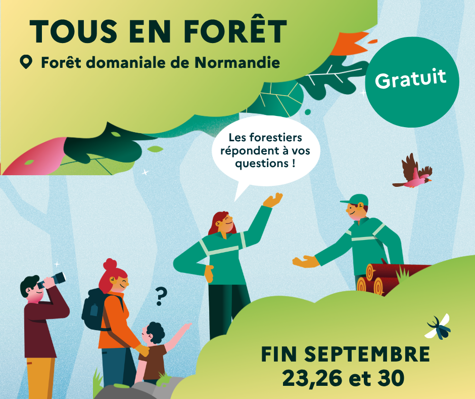 TEF 2026 Fcaebook Normandie - TEF2025_Normandie_FB | https://www.onf.fr/vivre-la-foret/evenements-rendez-vous/+/2d4b::tous-en-foret-2