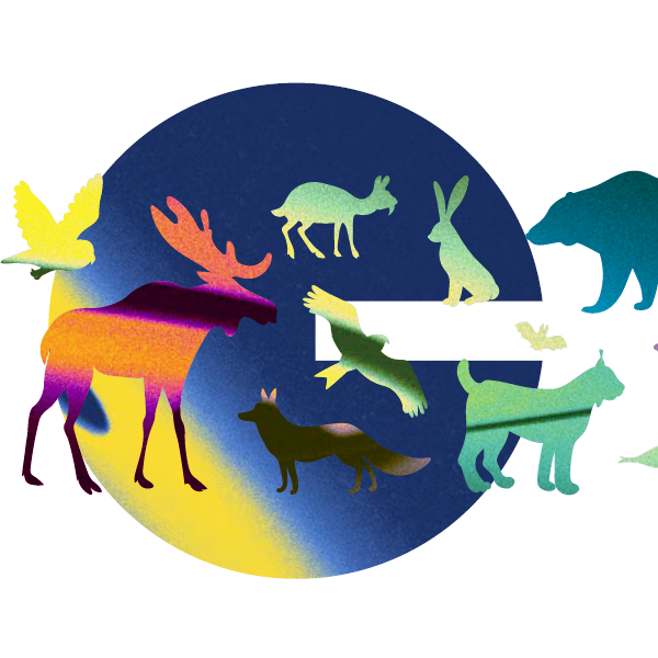 Mapado_Concert Opus61_Le Carnaval des animaux | CUA
