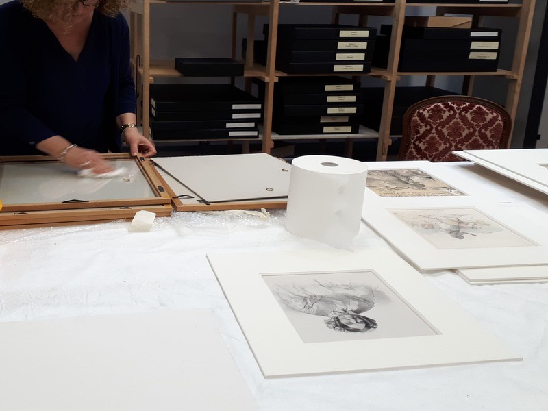 visite-reserves-3(1) | musée de Flers