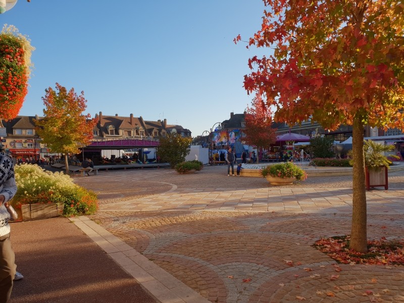 Foire de la pomme à Vimoutiers | CDCVAM