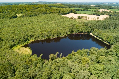 Etang_lande foret_C.AUBERT (1) | Christophe AUBERT