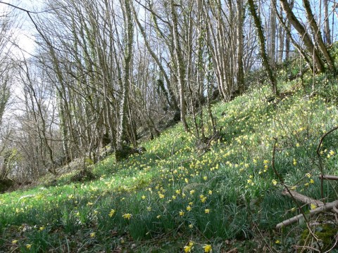 Méandres_camp de la Courbe | Conseil départemental de l'Orne