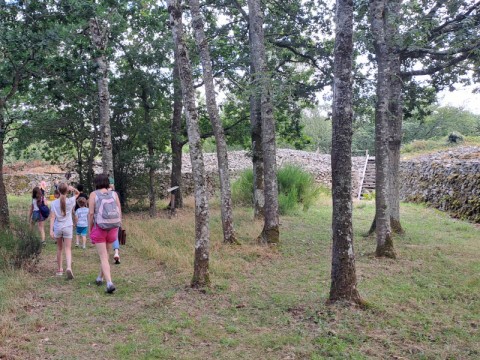 Visite guidée du Camp celtique de Bierre | Michaël HERBULOT