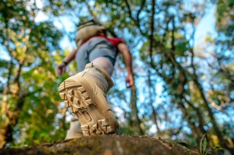 Rando gourmande à Sap-en-Auge | Rando_jcomp_freepik