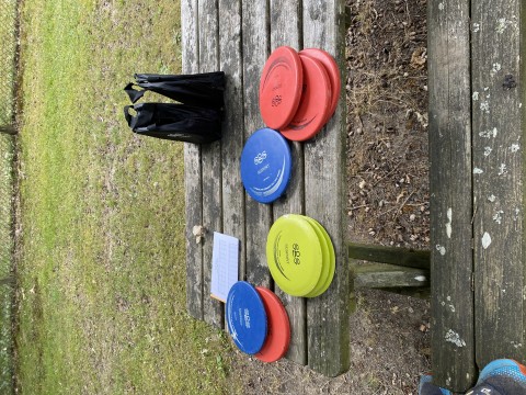BAGNOLYMPIADES_DISC_GOLF_IMG_6240@BeBagnoles | @BeBagnoles