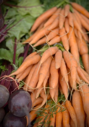 marché02_ 566x800 | canva