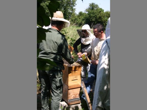 ecomusee_apiculture12_800 | ©ecomuseeduperche