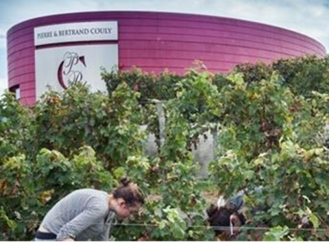 2025-09-12 CHINON Vignoble GIR 2025-D2410087-HJ_TIS | Boubet