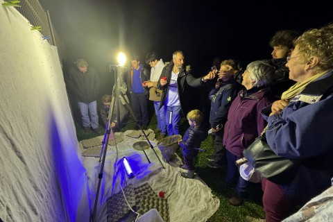 Decouverte_inventaire_papillon_nuit_credit_Michel_JARDIN | Michel Jardin