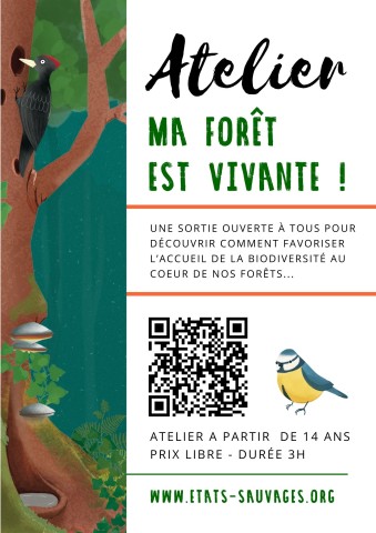 Flyers & affichettes - 2 | ©MFEV