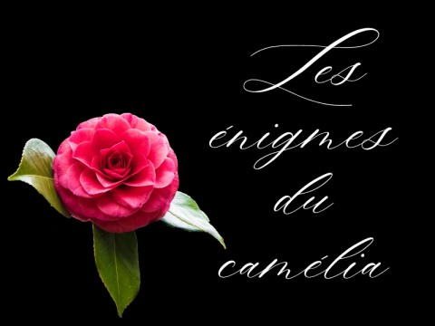 Les énigmes du camélia | CDCVAM