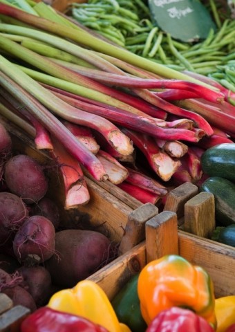 marché03_ 566x800 | canva