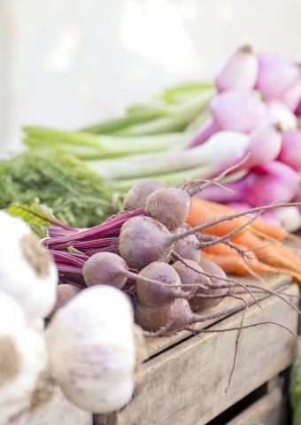 visuel marché01 | canva