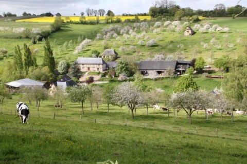 Balade gourmande à Crouttes | Domaine Galotière