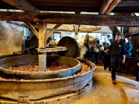 Fête du cidre à l'ancienne à Sap-en-Auge | Hervé HOUDY