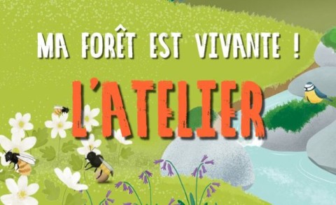 Atelier nature à Sap-en-Auge | Domaien sauvage Le Costil