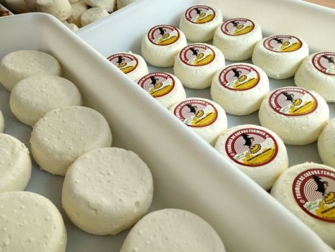 Balade gourmande aux Authieux du Puits | Chèvres Brasseuses