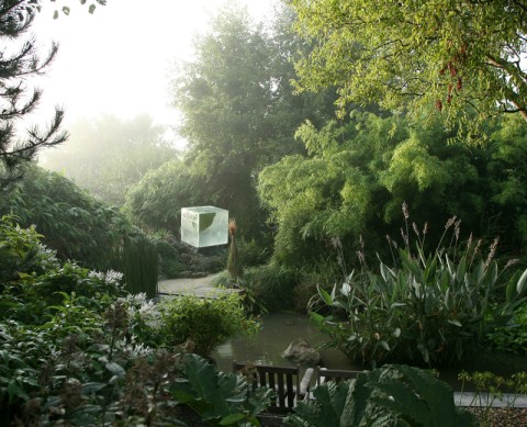jardin intérieur à ciel ouvert 800 | B. Delomez