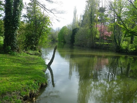 Fuie des Vignes©Biotope | Conseil départemental de l'Orne