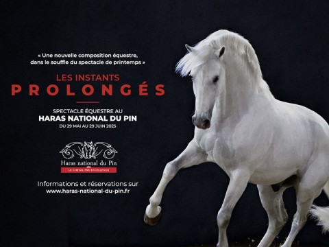 Les Instants Prolongés HNDP tourinsoft | Haras du Pin