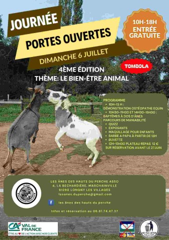 Portes ouvertes des ânes des Hauts du Perche  | ©lesânesduhautduperche