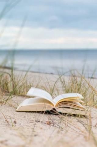 livre | libre