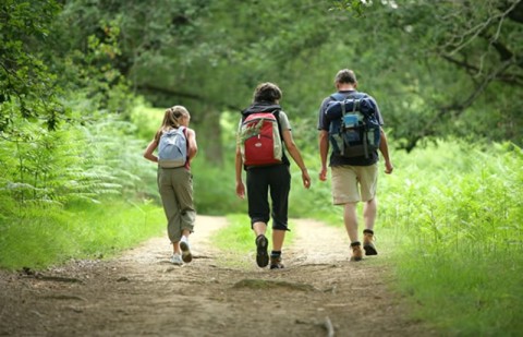 camminare-nel-bosco | Libre de droit