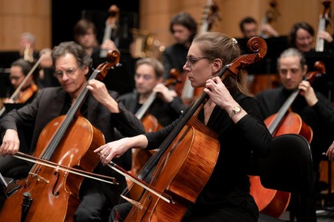 Septembre musical | © Arnaud Bertereau
