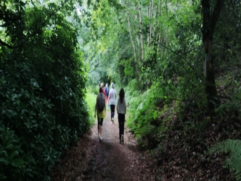 Yoga marche 800 | Yogavie-Ta-Nature
