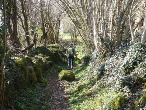 Le chemin des poetes Durcet(1) | MNT