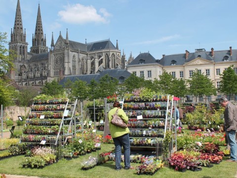 Photos Sées | Office de tourisme de Sées