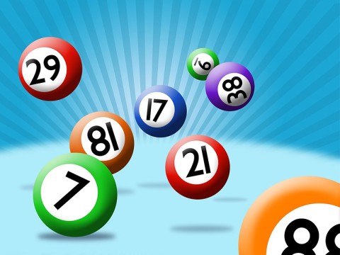 loto-abbiefyregraphics | abbiefyregraphics