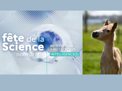 Fête de la science | médiathèque