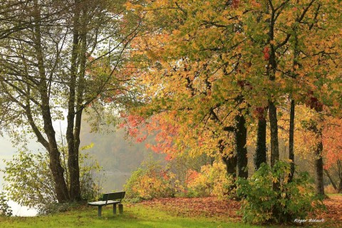 photos automne ©roger bidault.jpg800 | roger bidault