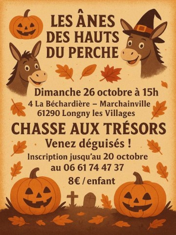Chasse aux trésors 26 octobre-compressed | ©Les Anes des Hauts du Perche