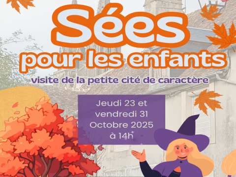 SeesPourLesEnfants | (c) OT SdO