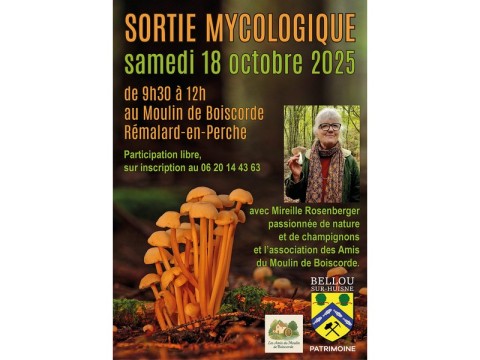 sortiemycologique-remalard-800 | ©Association Bellou-sur-Huisne Patrimoine